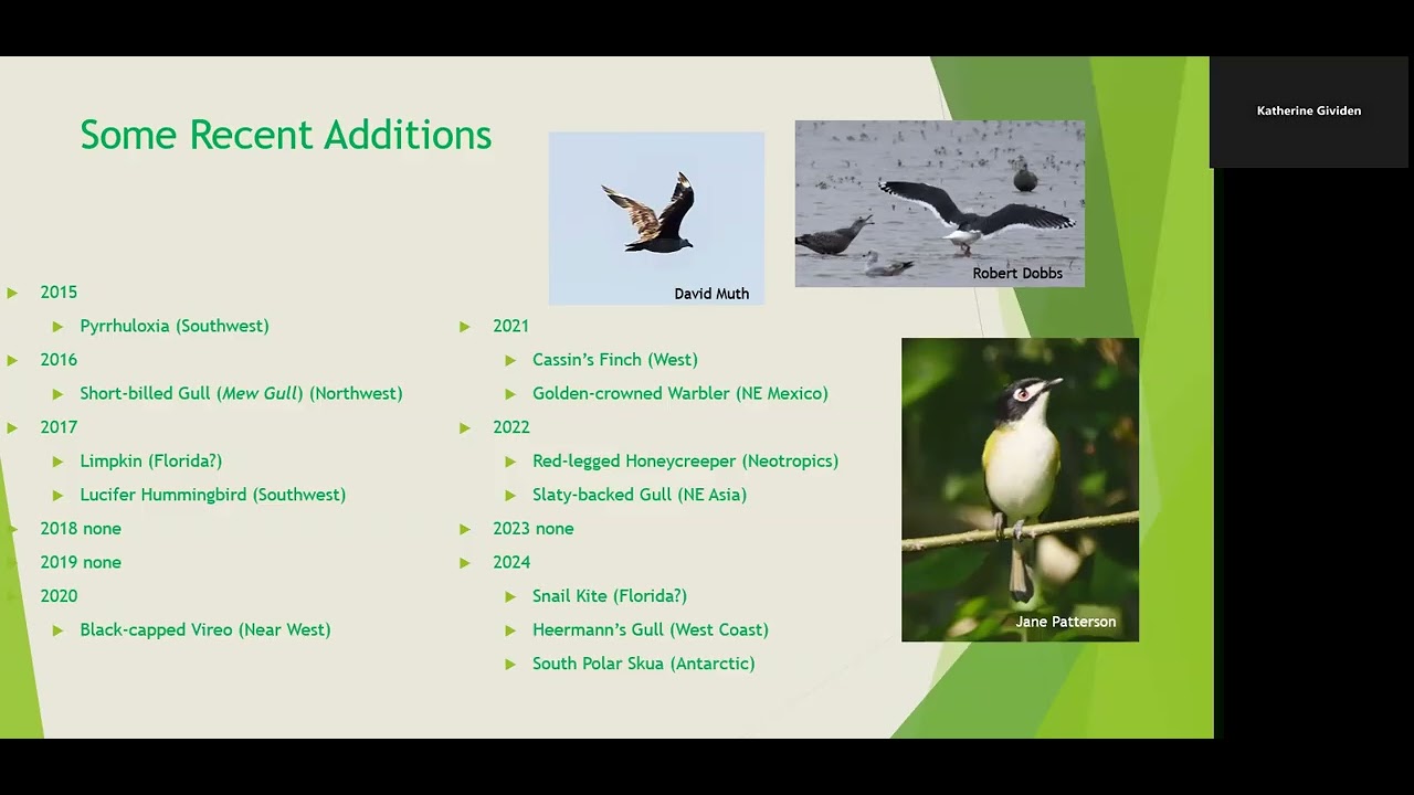 50 Years of Birding in Louisiana by David Muth