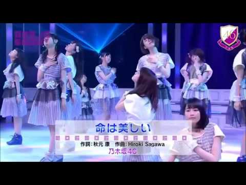 命は美しい