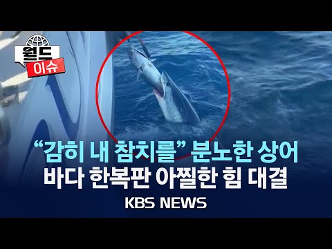 [월드이슈] “이 참치는 내 것”…인간과 상어의 힘 싸움 한판/‘신데렐라 성’에서 셀카 찍다…체코 체조 선수 사망/2024년 8월 28일(수)/KBS