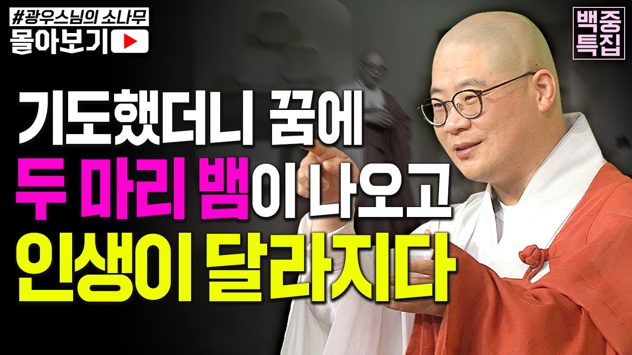 💫백중 특집💫 불행하던 삶! 진심으로 기도했더니 그날 꿈에 일어난 신비한 일 [초심으로 돌아가는 광우스님의 소나무 시즌3 몰아보기]