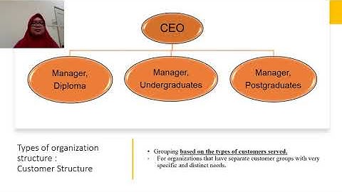 MGT162 Chapter 4 Organizing (Video 1)