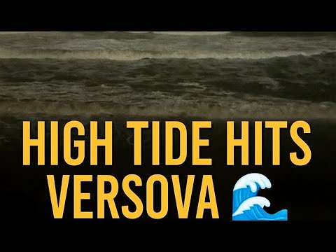 Wild Waves | Mumbai Nights