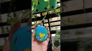 Turning an ordinary stone into a tiny world . #StonePainting #RockArt #DuckPainting #HandPaintedArt