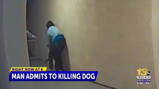 Man pleads guilty to shooting and killing neighbor's dog in Colorado Springs 2