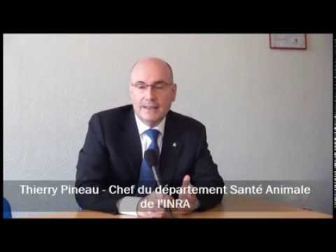 Interview on ICSA of Thierry Pineau, Head of Animal Health Department of INRA