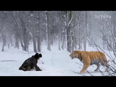 【閃瞎眼的神劇】  正在雪地里休息的壮汉被猛虎袭击，谁知壮汉会功夫赤手大战杀猛虎⚔️ 抗日 ⚔️ #功夫# KungFu #战争 #军旅 #中国电视剧 ⚔️剧名# 林海雪原