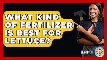 What Kind Of Fertilizer Is Best For Lettuce? - LearnToDIY360.com