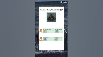 Đâu Là Công Thức Đúng Của Lửa Trại? #miniworldvn #miniworld #miniworldvatoi