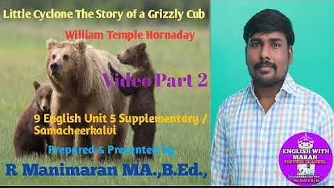 Little Cyclone The story of a Grizzly cub (Video Part 2 )