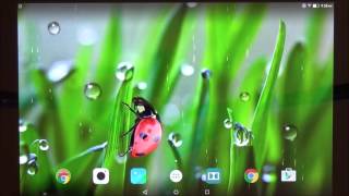 Macro spring live wallpaper for Android phones and tablets screenshot 5