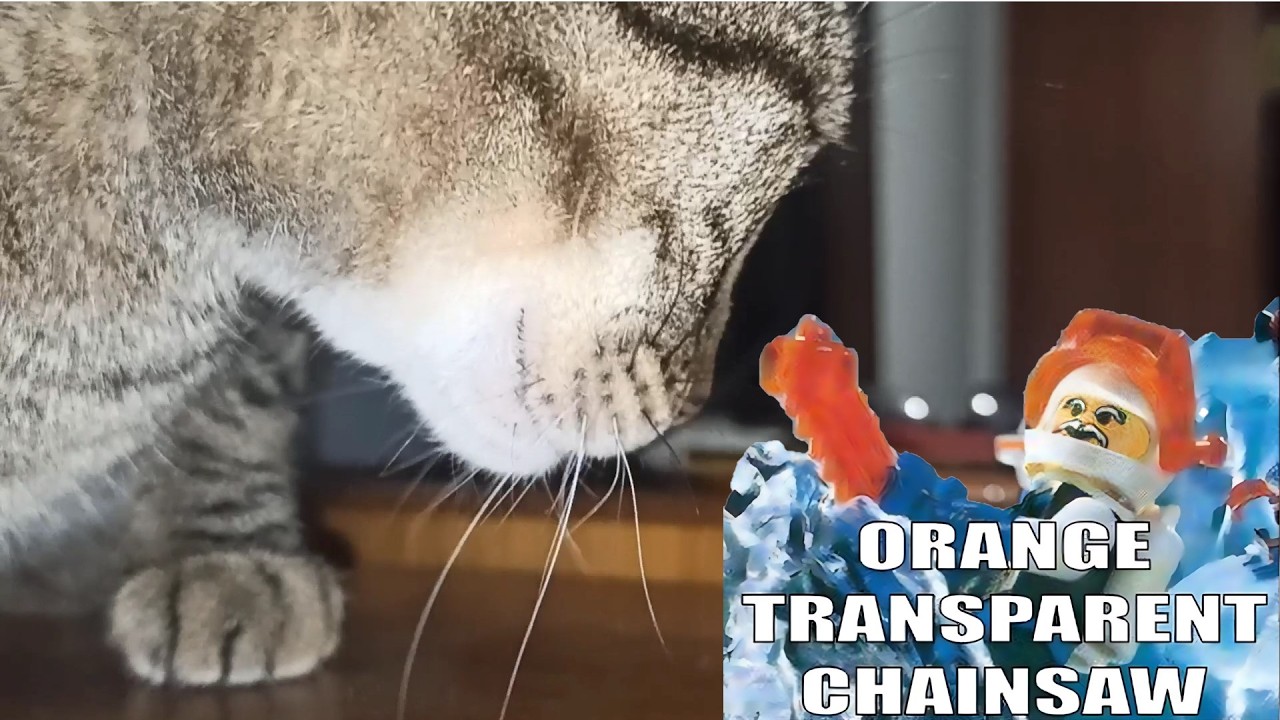 ORANGE TRANSPARENT CHAINSAW Vs Gato Gato 