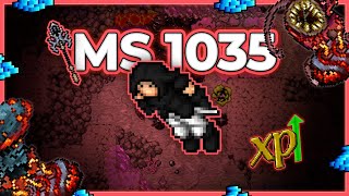 MS 1035 Hunt Solo Grotto of the Lost (Warzone 8) 2.2kk+ Profit/h - #tibia #tibiahunt #hunts