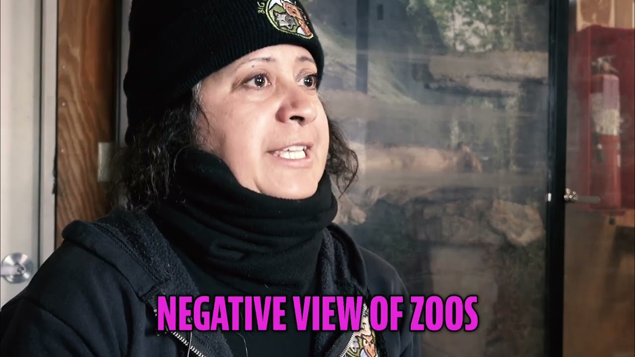 Big Bear Alpine Zoo: From Fire to Conservation Success