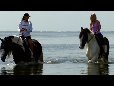 Horseback riding on the beach with 'C Ponies'