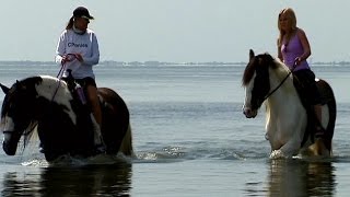 Horseback riding on the beach with 'C Ponies'