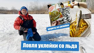 картинка: Ловля уклейки со льда и рецепт домашних шпрот