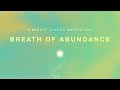 Breath of Abundance (5-minute Guided Meditation) | Attract Wealth, Money, Prosperity