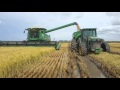 John deere s660 con draper 630f cosechando arroz