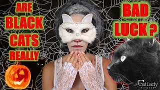 Are Black Cats REALLY Bad Luck? (Common superstitions, beliefs, and history) - Happy Meowloween!