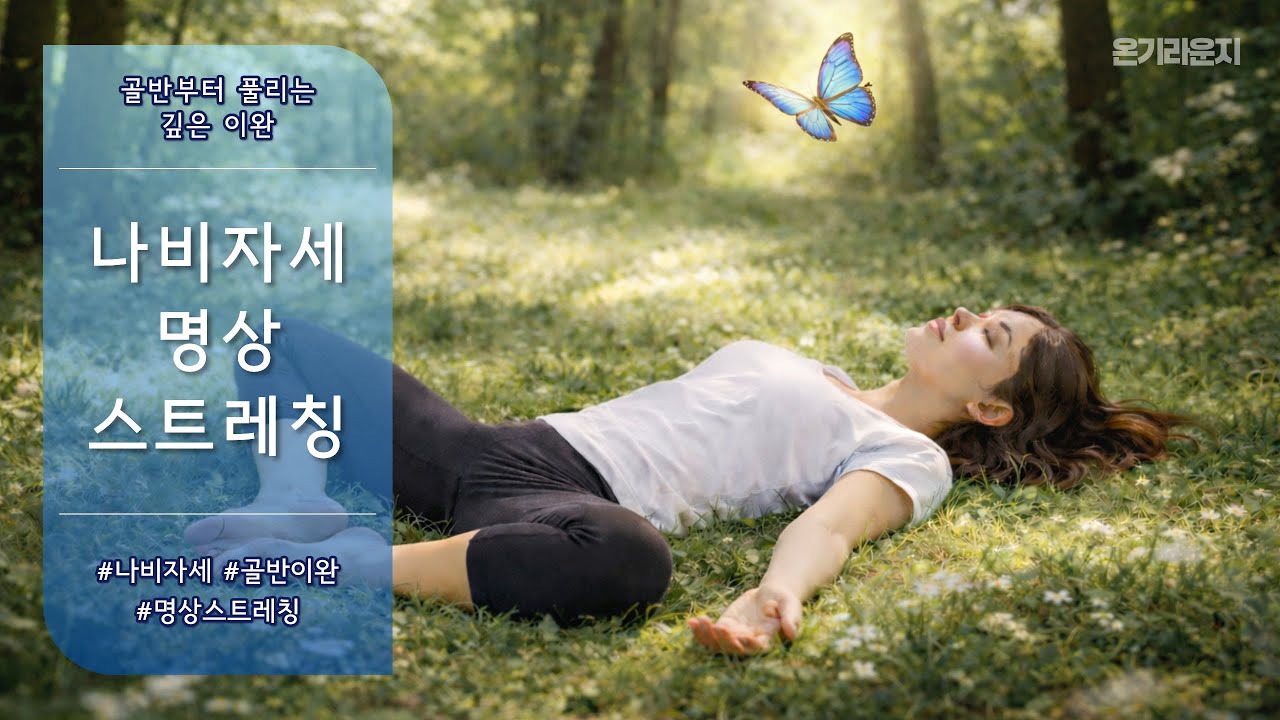 나비자세 명상 스트레칭 | 골반부터 풀리는 깊은 이완
