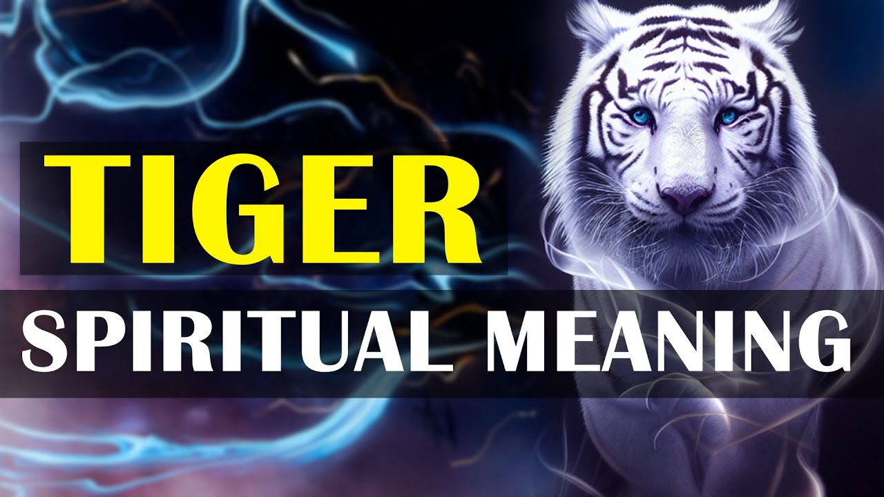 Tiger Spiritual Meanings & Symbolism | Tiger Spirit Animal Meanings