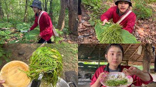 ￼ Go to the forest to collect vegetables for cooking.🥬🍲🫘