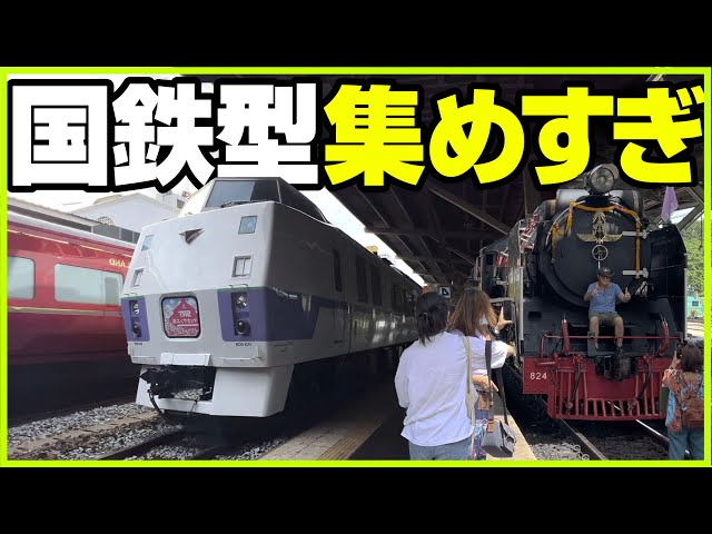 魅惑のタイ鉄道 全部走る！世界最強の国鉄型車両コレクション！タイ国鉄の