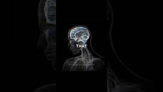 Brain of a teenager #brain #darkpsychology #brainscience #neuroscience #brainfacts