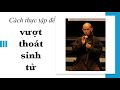 Để vượt thoát sinh tử - Trích pháp thoại Sư Ông Làng Mai 14/12/1995