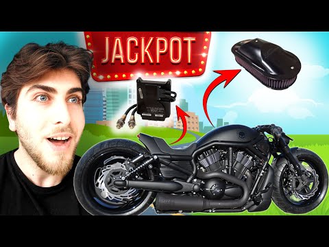 ჯეკპოტი მოვხსენი!!! რა ნაწილები ჩამოჰყვა ჰარლის, რაც აუქციონზე არ ჩანდა?! + პირველი დაქოქვა!