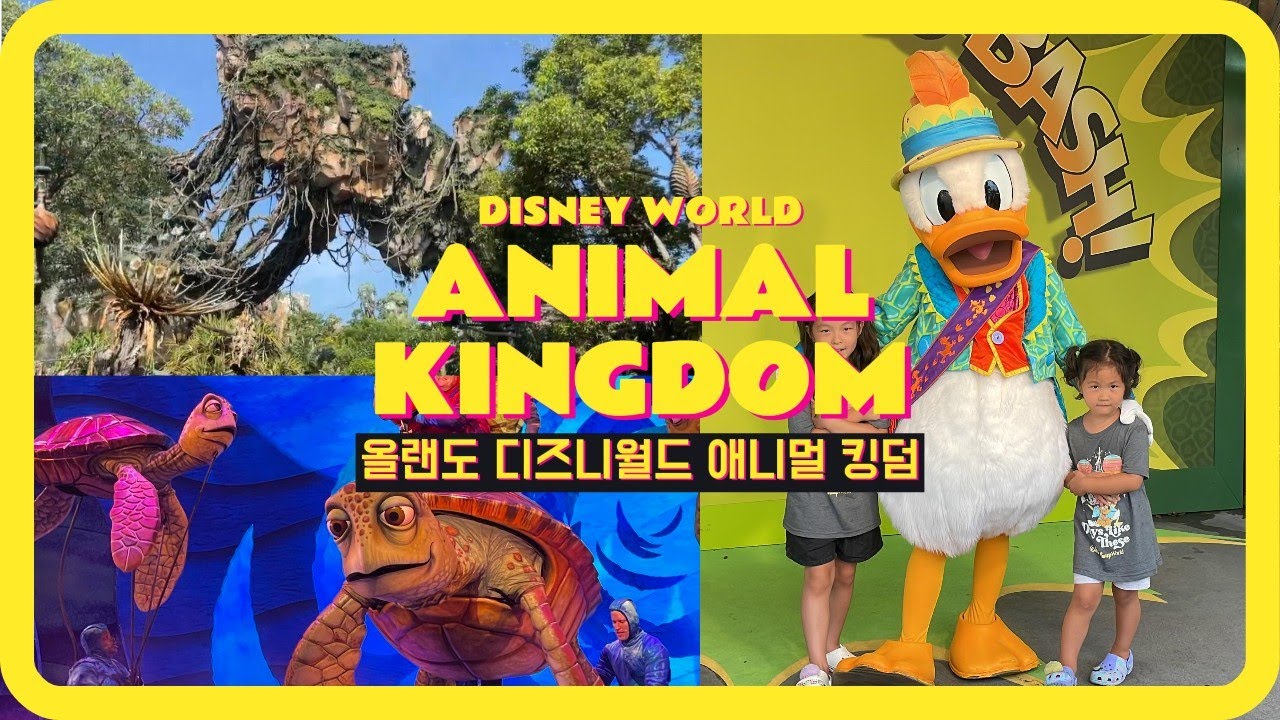 vlog| 플로리다 디즈니월드 뿌시기 | 아바타,  라이언킹, 사파리까지! | 디즈니 맛집 | 애니멀 킹덤 어트랙션 및 쇼보기