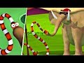 Desene animate | Gazun in Concediu | Cartoons for kids Gazoon on holiday