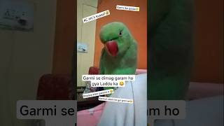 Garmi toh hai😓 @Birdlover-18 #shorts #youtubeshorts #trending #funny