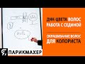 ДНК-цвета волос. Работа с сединой. Окрашивание волос для колориста.