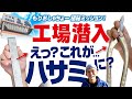 【熱絶縁工事一筋25年　もりおしゃちょーの工場見学　株式会社直徳さん　ハサミができるまで編】株式会社大島インシュレーション　チャンネル
