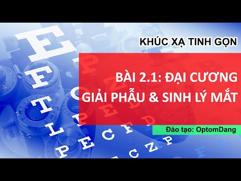 Video BÀI 2: ĐẠI CƯƠNG GIẢI PHẪU VÀ SINH LÝ MẮT P1 | Khúc xạ... - YouTube