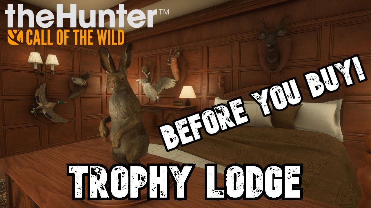 Trophy Lodge Explained Before You Buy!/TheHunter Call Of The Wild (300 SUBSCRIBERS!!!) YouTube