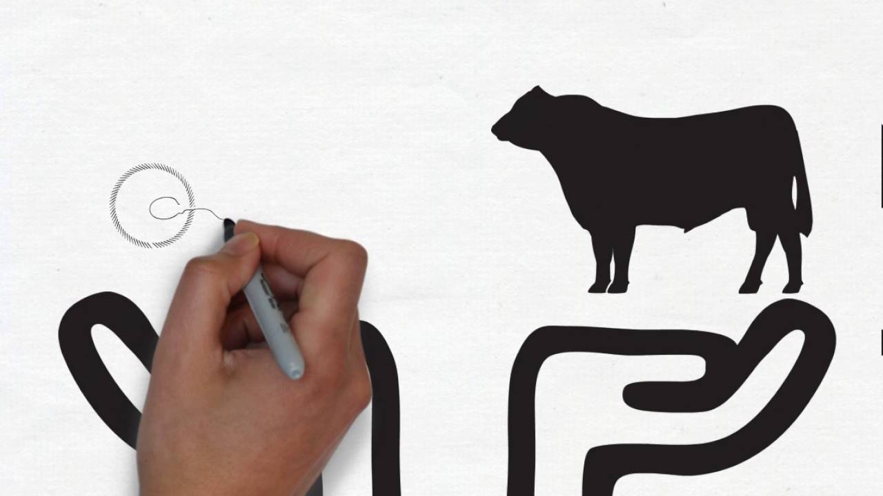 Angus Education Centre