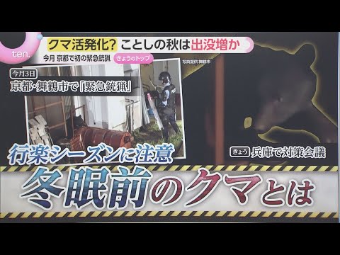 [Preparation] Increasing Bear Sightings Since Spring: Seeking Food Near Human Settlements, Includ...