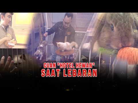 Cuan 'Hotel Hewan' saat Lebaran | Kabar Siang