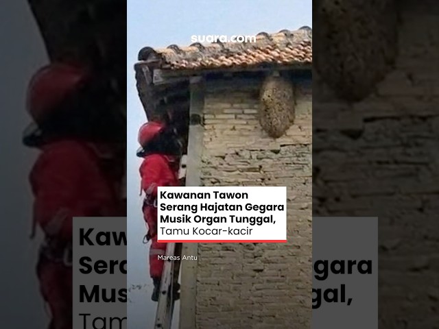 Thumbnail YouTube