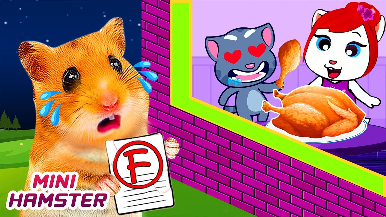 Sorry Mommy Minnie, Don't Mad At Hamster | Funny animals | Hamster Stories in Real Life 🐹