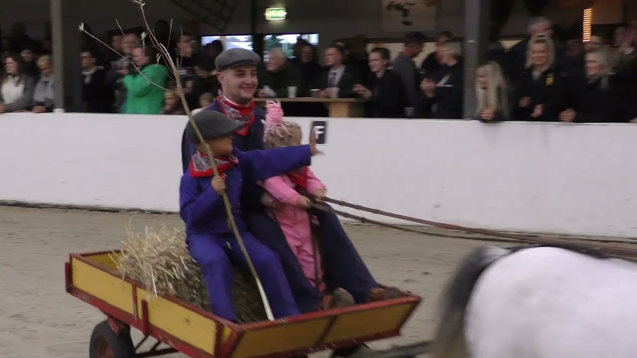 Tuigpaardenshow Stroomruiters Beilen