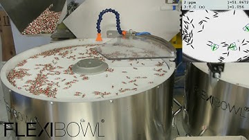 Automotive Tyre Valve - Flexibowl® & Fanuc Feeding System