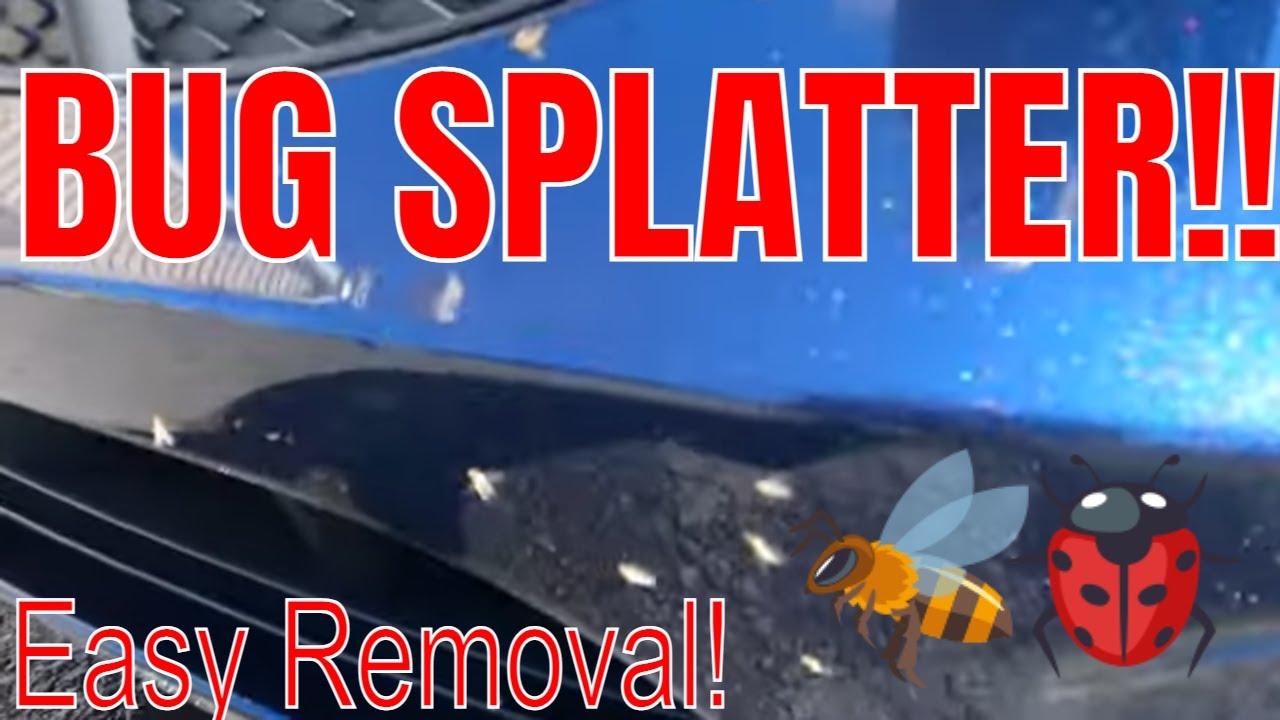 Bug Removers for Cars Tested (Before and After Comparisons) 