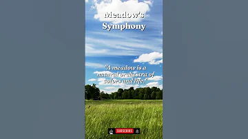 Meadow's Symphony 🌼🎶 #nature #meditation #relaxationmusic #spirituality #yoga #yogamusic