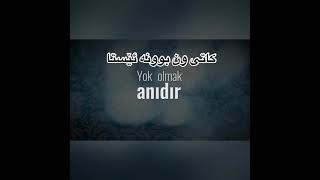 Sezen aksu _ vazgeçtim kurdish subtitle