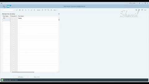 16. SAP GRC - BRM - Configuration - Maintain Role Status