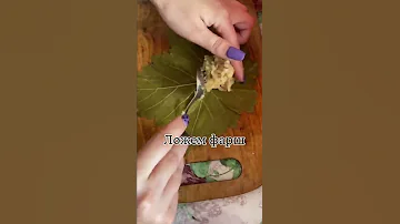 Готовим долму🍁 Голубцы с виноградного листа
