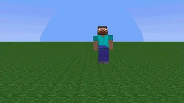 My First Animation - Minecraft Backflip